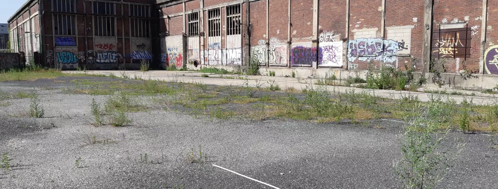 Photo terrain rue du Bailly 2