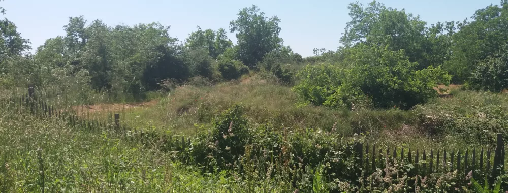 Vue partielle du terrain