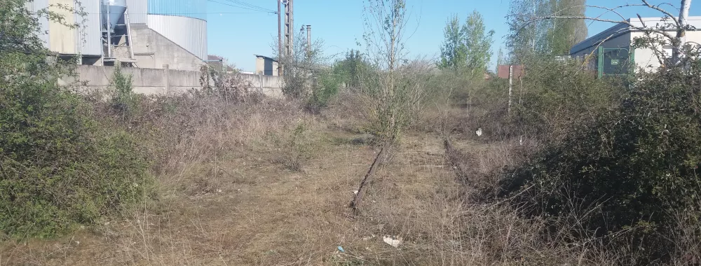 Vue globale du terrain