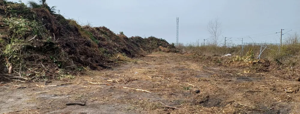 Terrain - Photo N°01