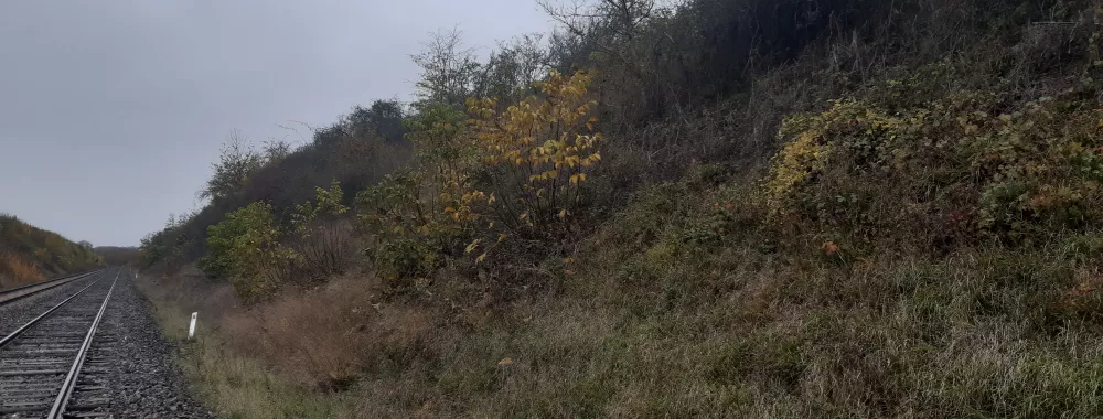 Site n°2 : Bruyères-sur-Fère