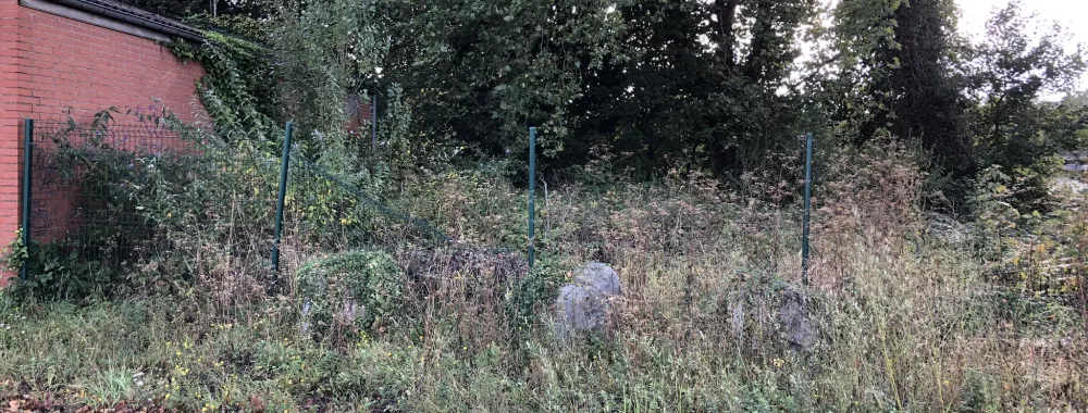 Zone à aménager à droite du bâtiment