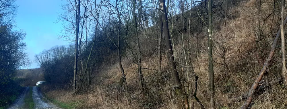 Site n°3 : Logny-Bogny