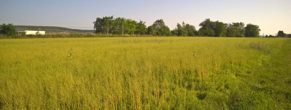 Terrain nu à louer sur la commune de Ladoix-Serrigny