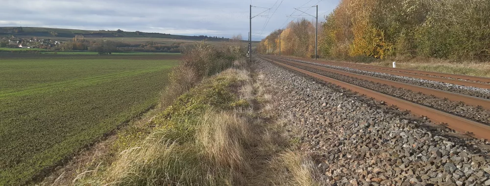 Site n°1 : Communes de Troissy/Dormans