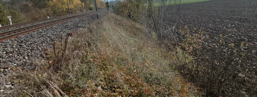 Site n°1 : Communes de Troissy/Dormans