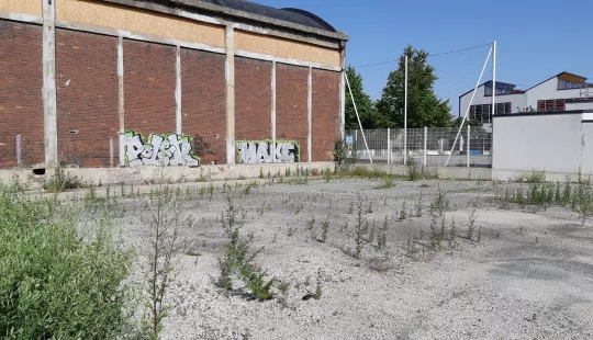 Photo terrain rue du Bailly 1