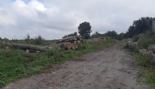 Terrain nu pour stockage de grumes - Commune de CANDAS (80)