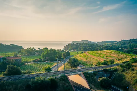 SNCF Immobilier - identité