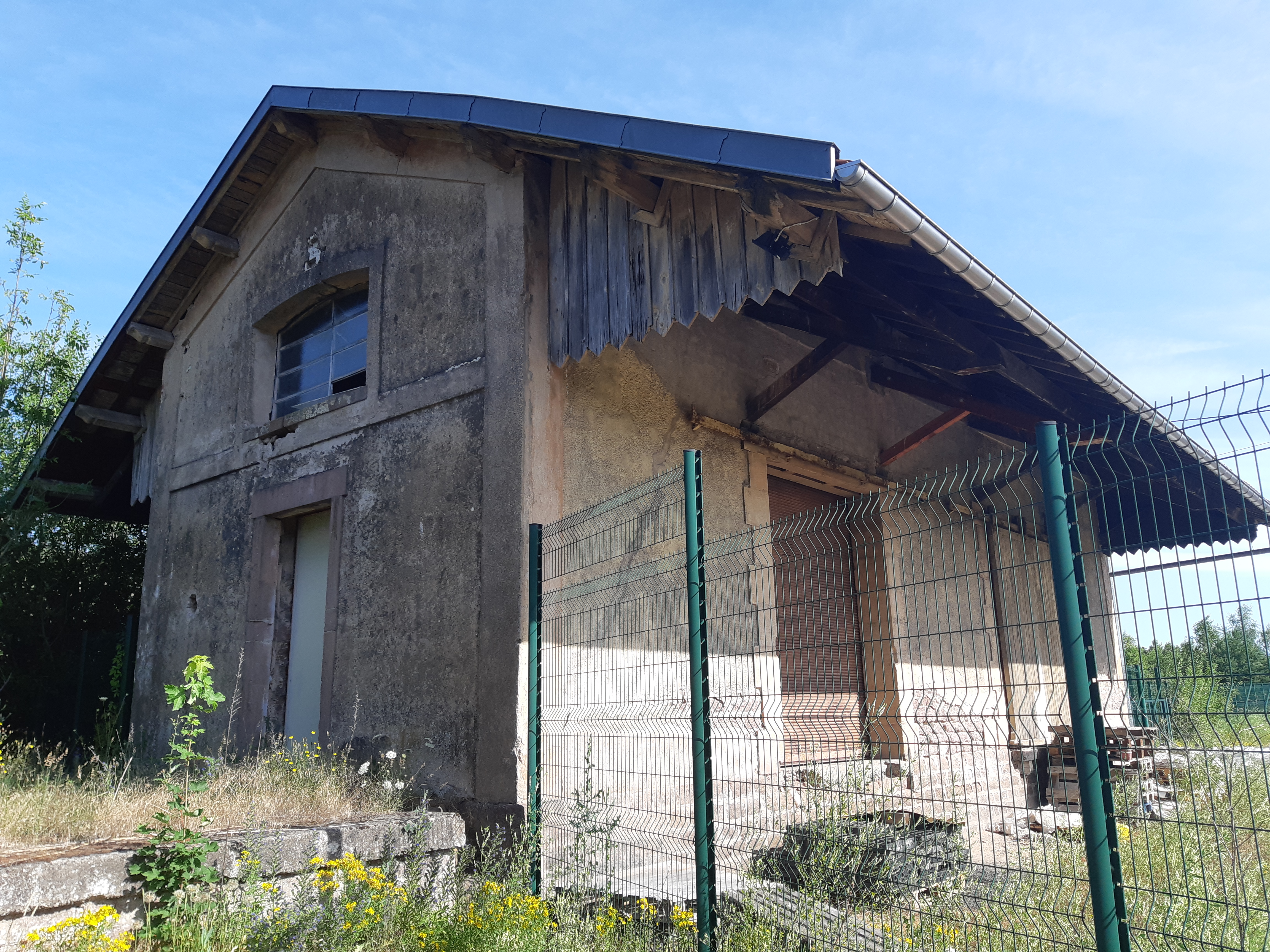 Halle